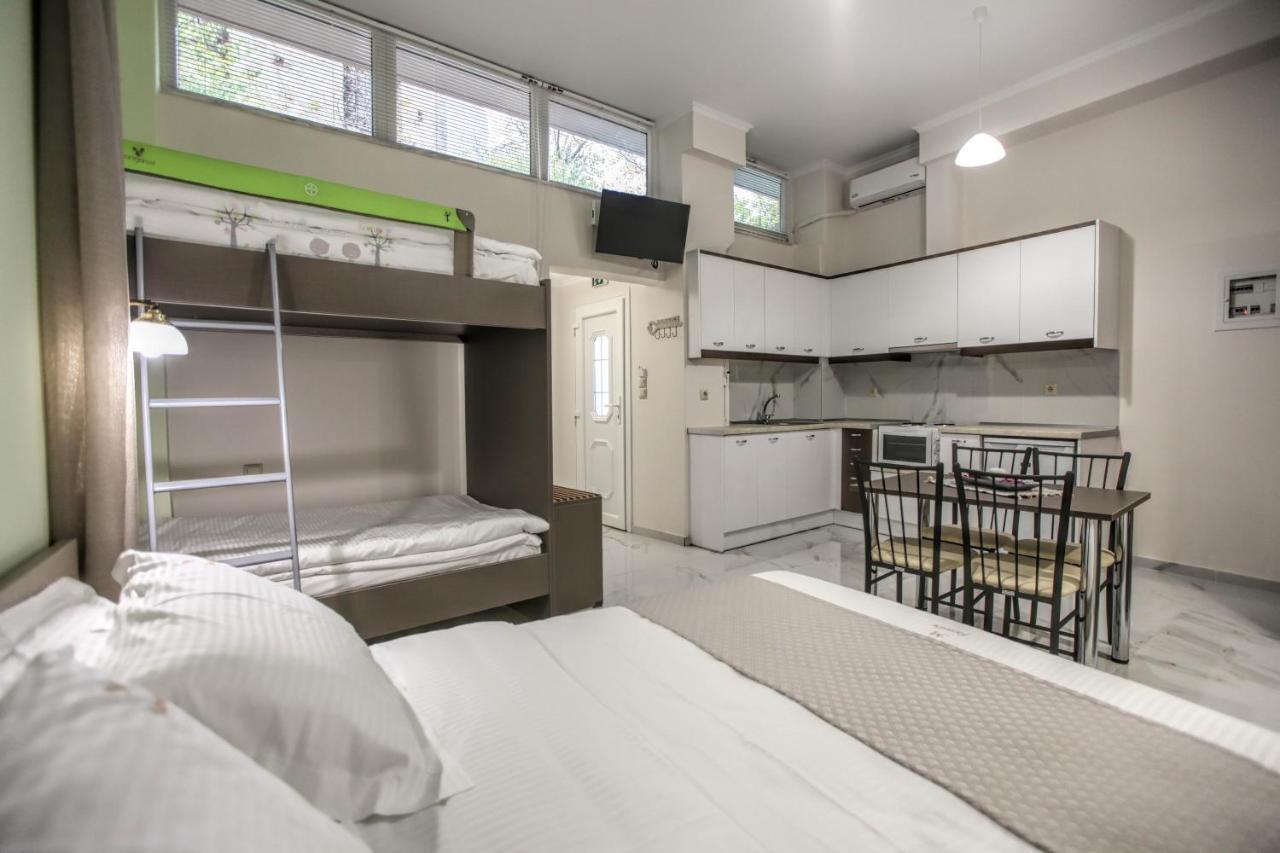 Del Sol #3 Meteora Luxurious Family Suites 卡兰巴卡 外观 照片